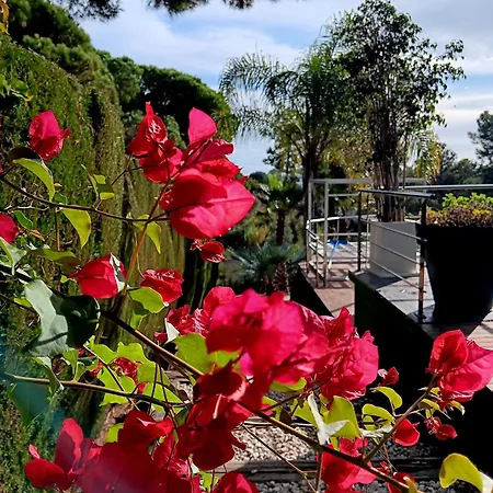 Villa El Desmai *