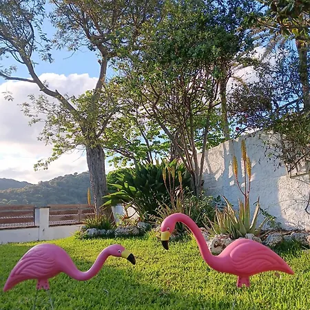 El Desmai Villa *