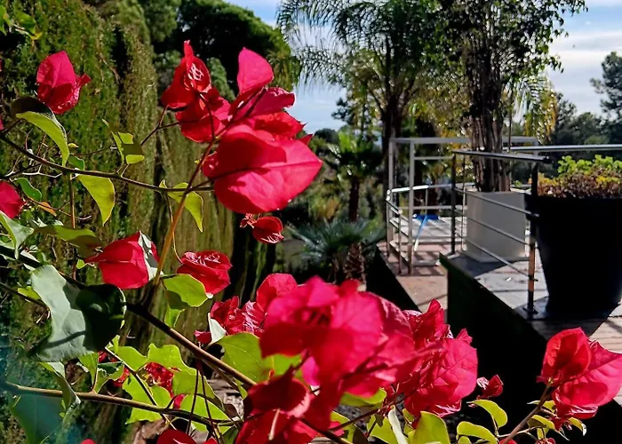 Villa El Desmai *